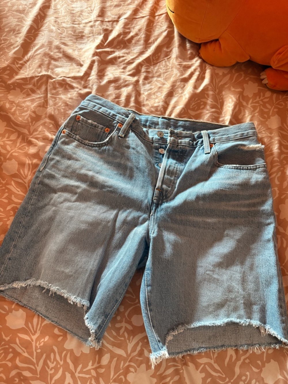 W Levis Jorts